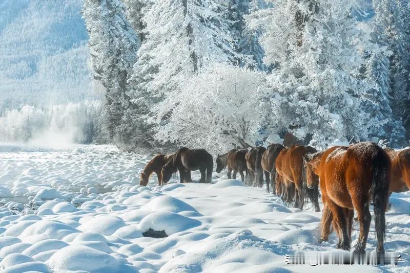 今年冬天的不同今年冬天和往年比，差异太明显了。往年裹着大棉袄还冻得哆嗦，今年穿