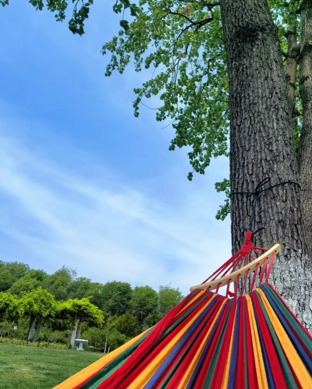 如果你退休后，实在闲的无聊，大夏天在家闷热，吹空调又怕浪费电。我告诉你一个好的