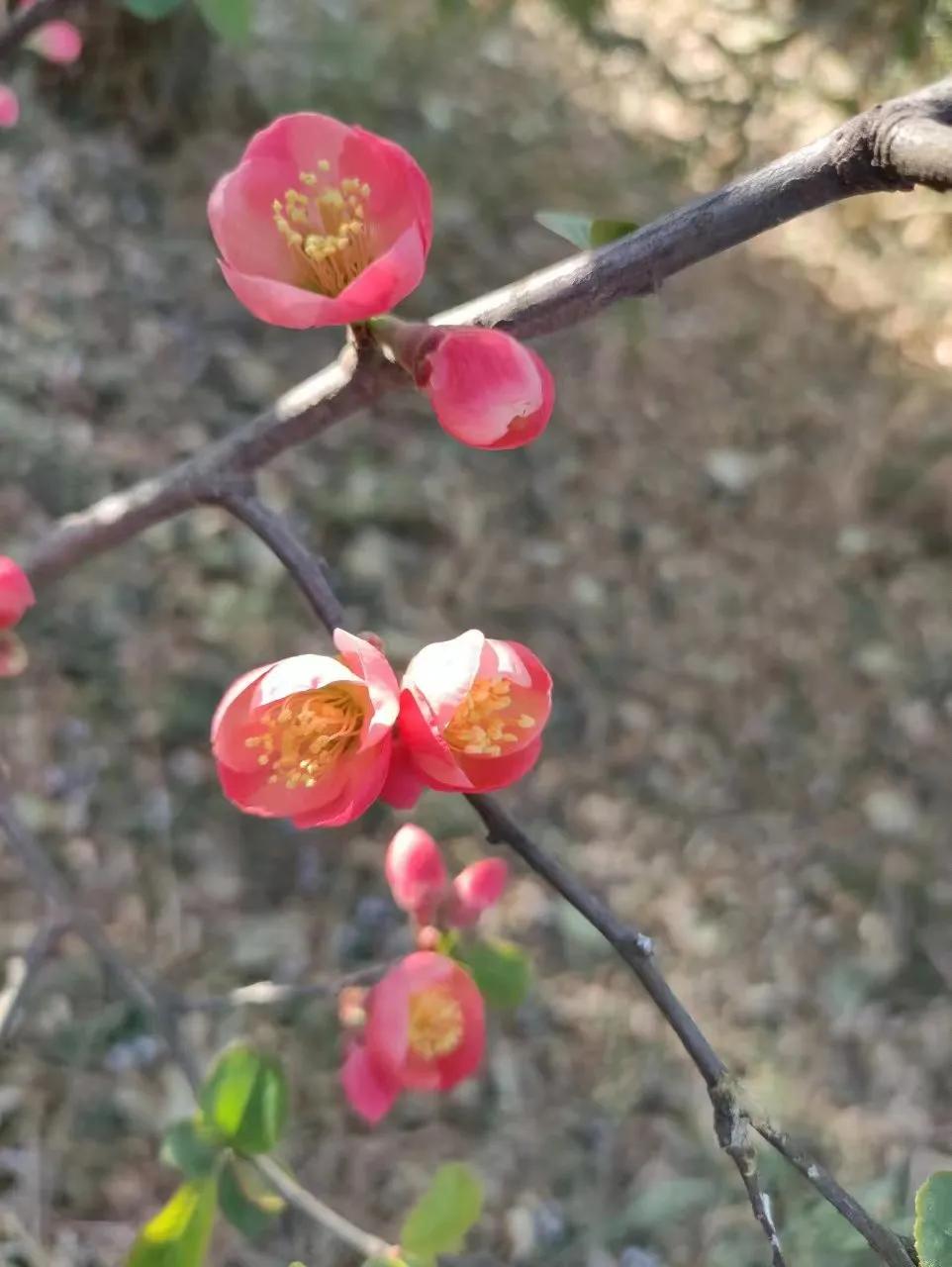 女人最舒服的活法，从来不是争输赢，而是学会把心放轻。话不必多，多说