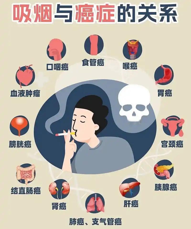 🌺公共健康层面的核心价值烟草烟雾含7000多种化学物质、69种致癌物，不存在