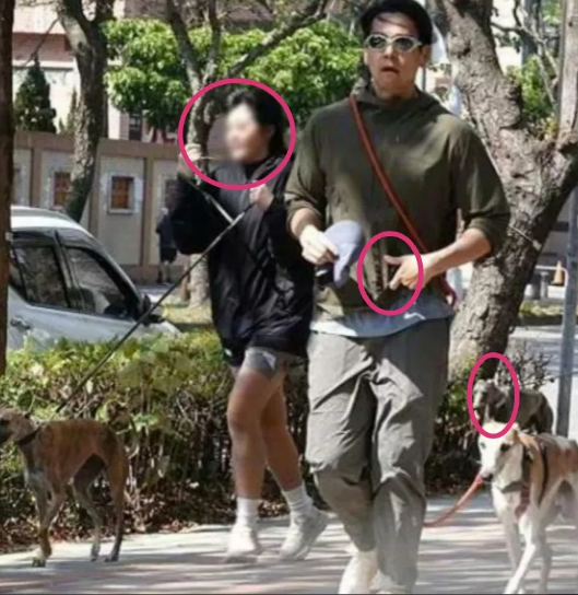 我终于知道了，原来彭于晏不早早不回应，是有原因的，原本一直觉得，现在才开