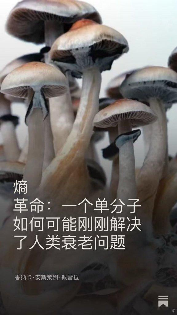 科学家刚刚证明，你可以在4小时内逆转大脑年龄2025年11月发生的事情将改写人类