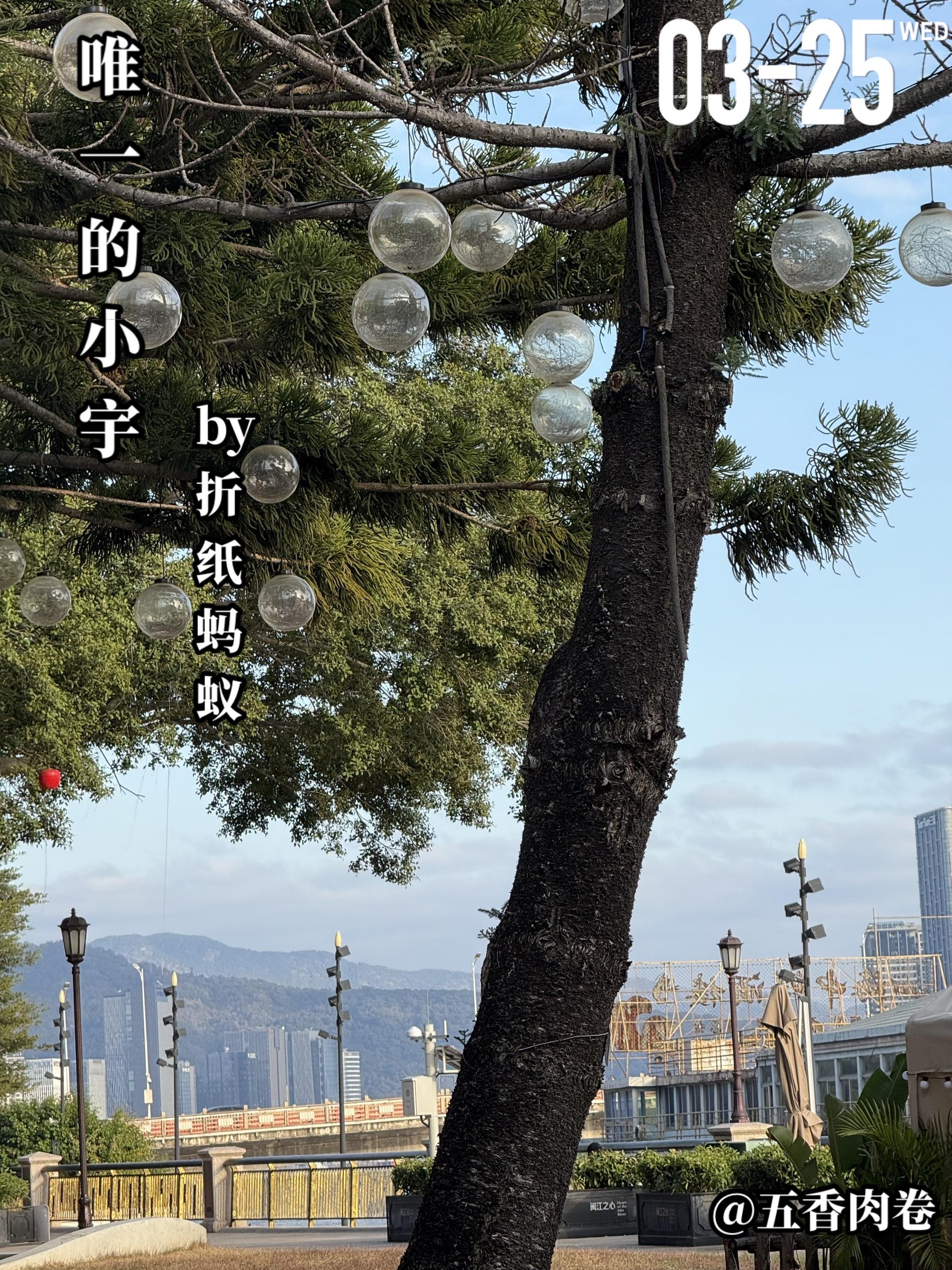 《唯一的小宇》by折纸蚂蚁。钟静唯（女主）与梁韶宇（男主）自小青梅竹马...