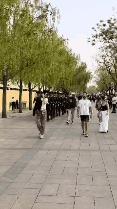 老外分两种：一种是蠢，另一种是坏