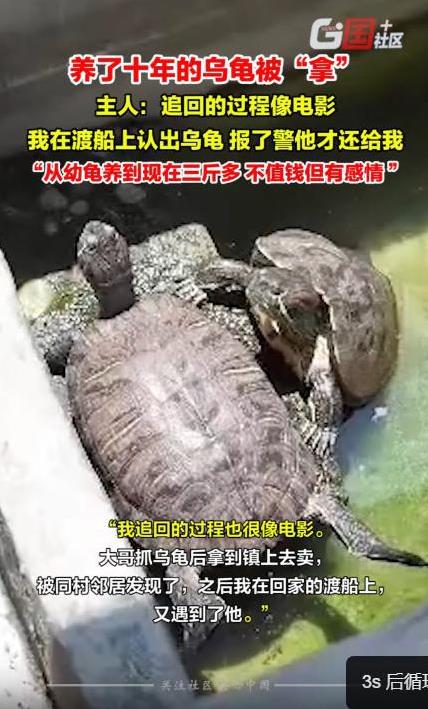 “丢人丢大了！”6月25日，四川简阳，一男子路过某村民家时，偷走主人养了10年的