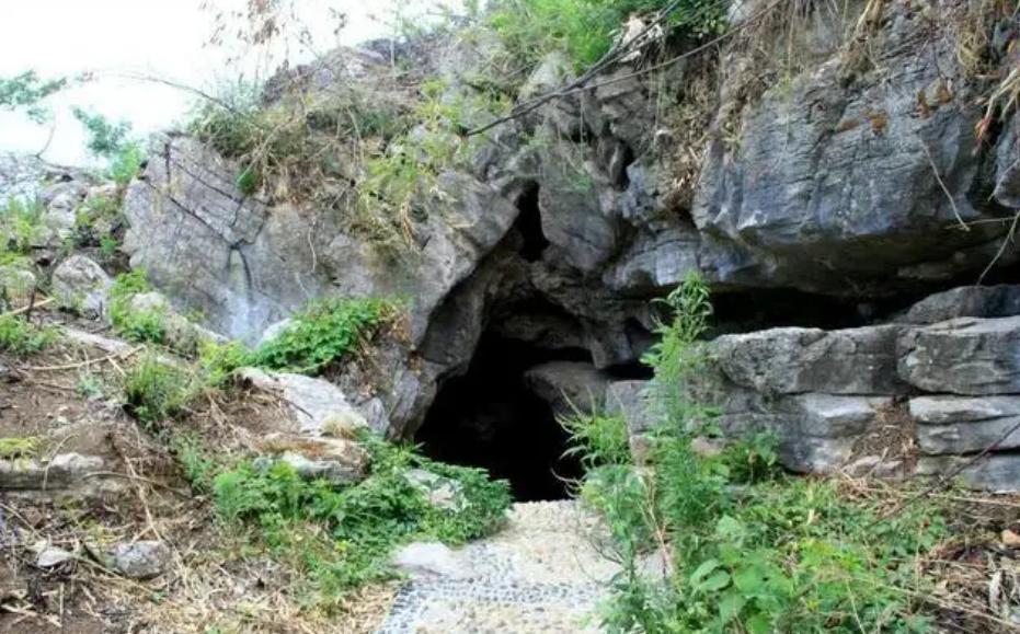 1982年，甘肃灵台县一对农民兄弟在一处山洞中发现一件造型奇特的“器物”。二人打