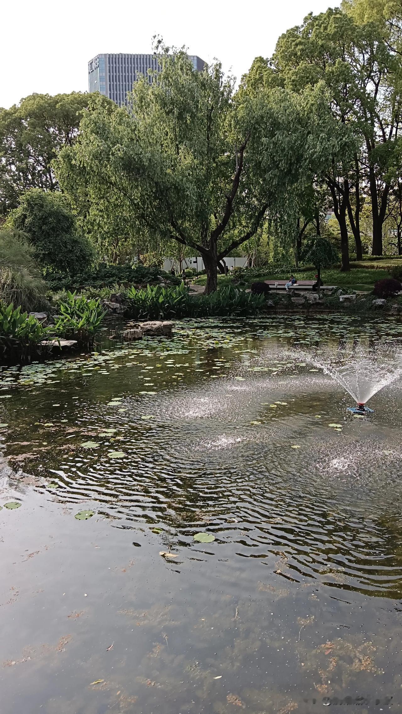 五月初仍是踏青好时节微风不燥，阳光正好踏入公园，满眼青绿骑行在街头巷尾街
