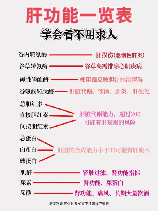 ﻿肝功能﻿ ﻿科普﻿﻿肝脏健康﻿ ﻿乙肝﻿ ﻿转氨酶﻿ ﻿胆红素﻿ ﻿...
