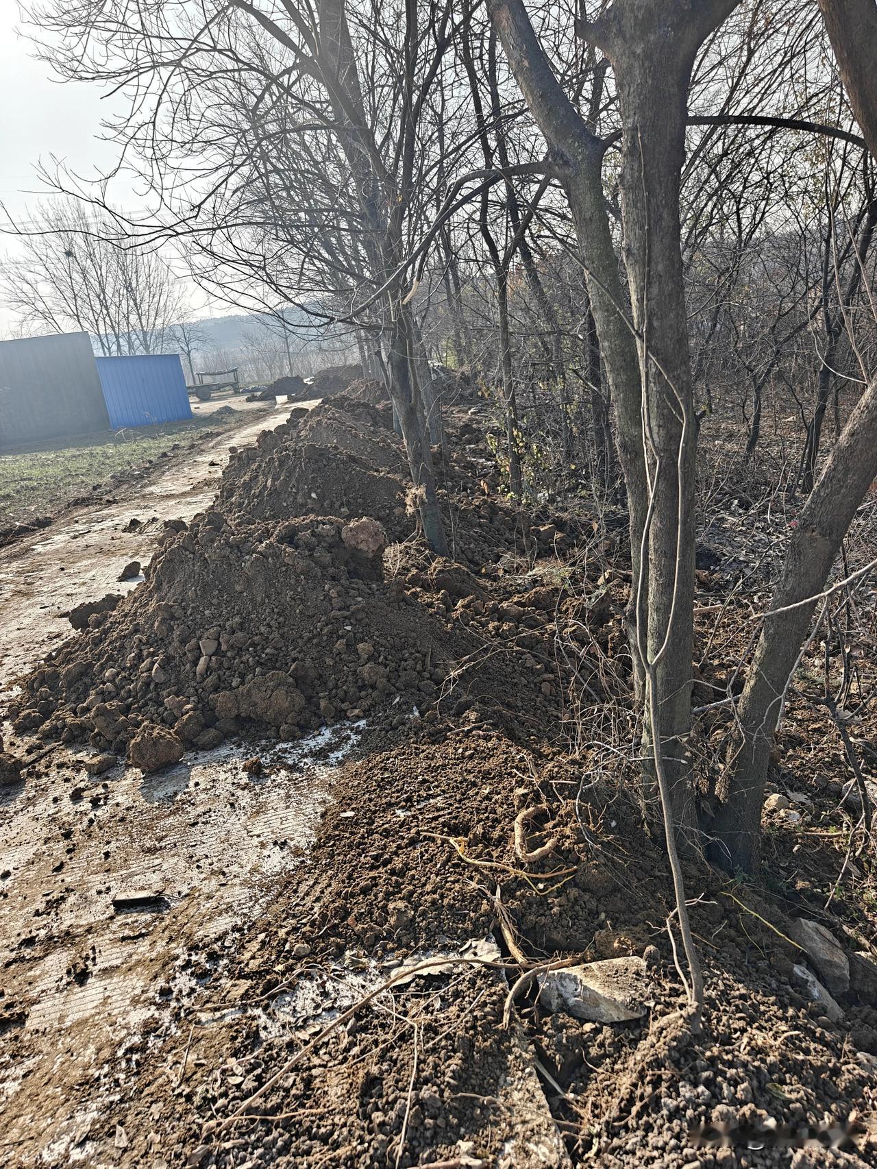 要被笑死了！村里的水泥路修好了，半个月后也就是昨天挖土机司机过来将两边泥土填平，