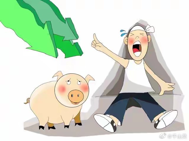 全国猪价已跌破5元猪价跌破5元/斤！创近20年新低，全行业深度亏损2026年3月