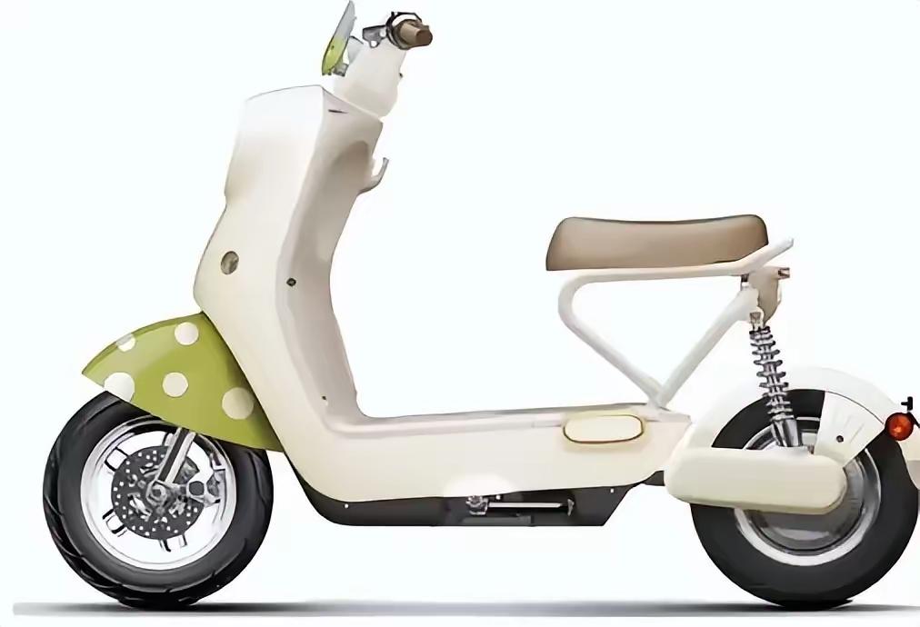 这些制定国标的专家并不蠢。他们肯定知道这种电动车市场上绝大多数人都不会买账的