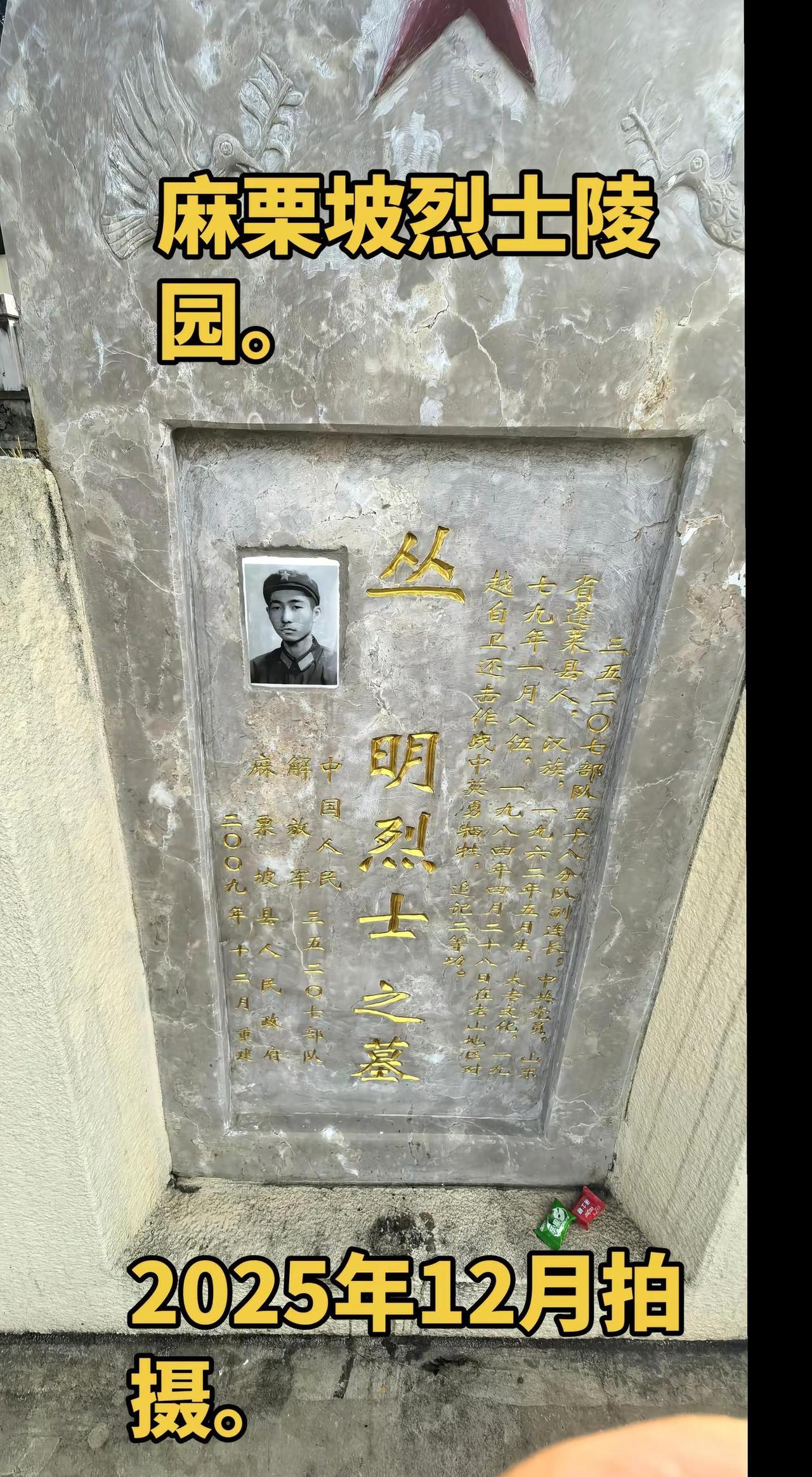 麻栗坡陵园冬天很静，风一吹山茶花瓣就掉在丛明的碑上。我蹲那儿看了好久，他1962