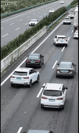 高速堵车，在快车道上的司机眼珠一转，计上心来。他把车上的几个人都放下来，谎称小