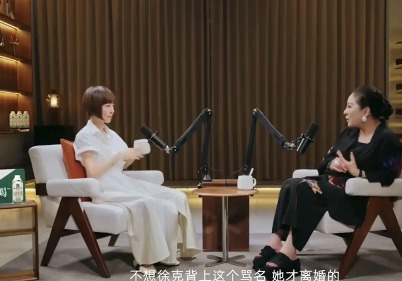 施南生不是被离婚的，是主动离婚的，理由是不希望大家觉得徐克无情无义，有婚外情。之