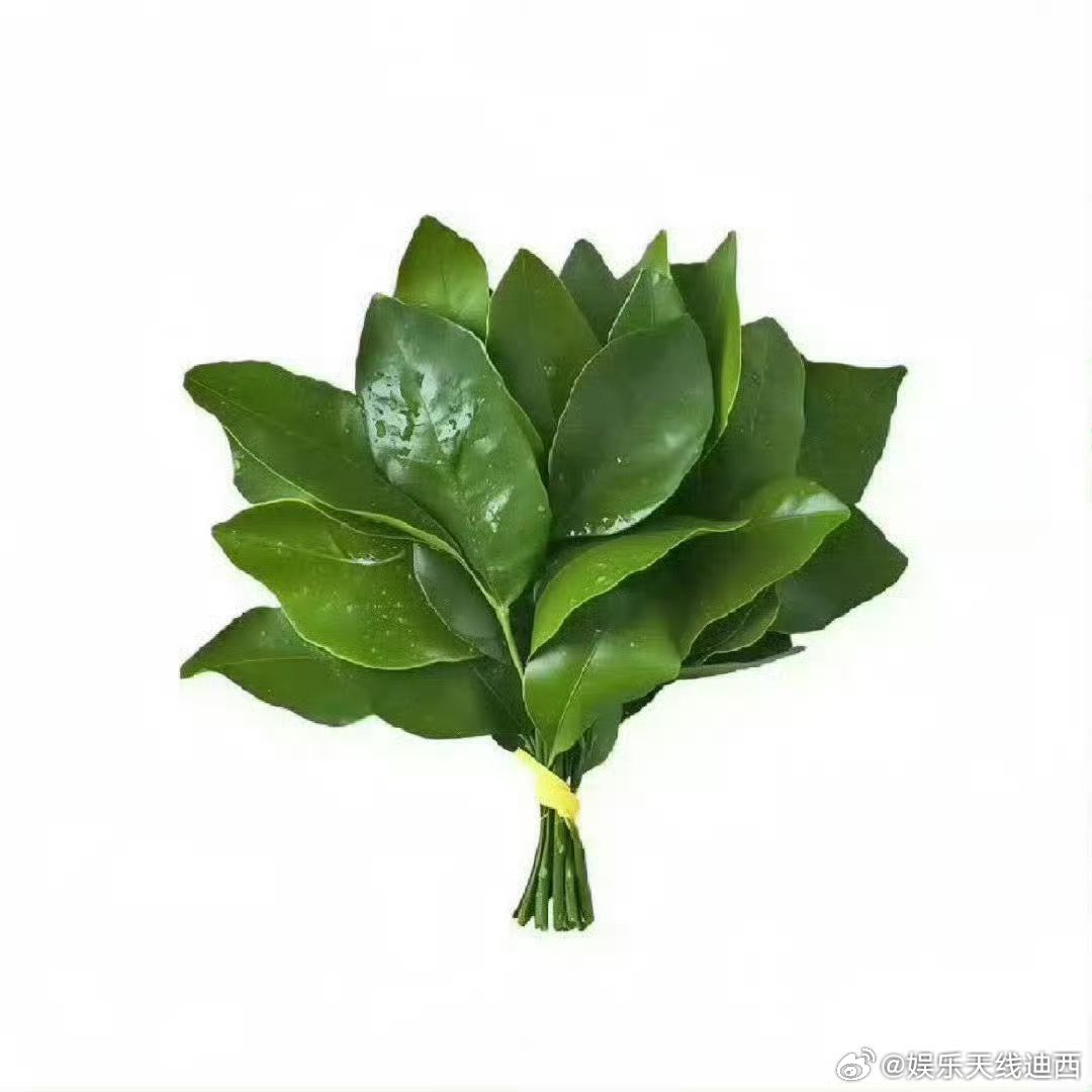 给王鹤棣去去晦气，王鹤棣被违法偷录老板与合伙人之间业务谈话送3个高位黑rs有些人
