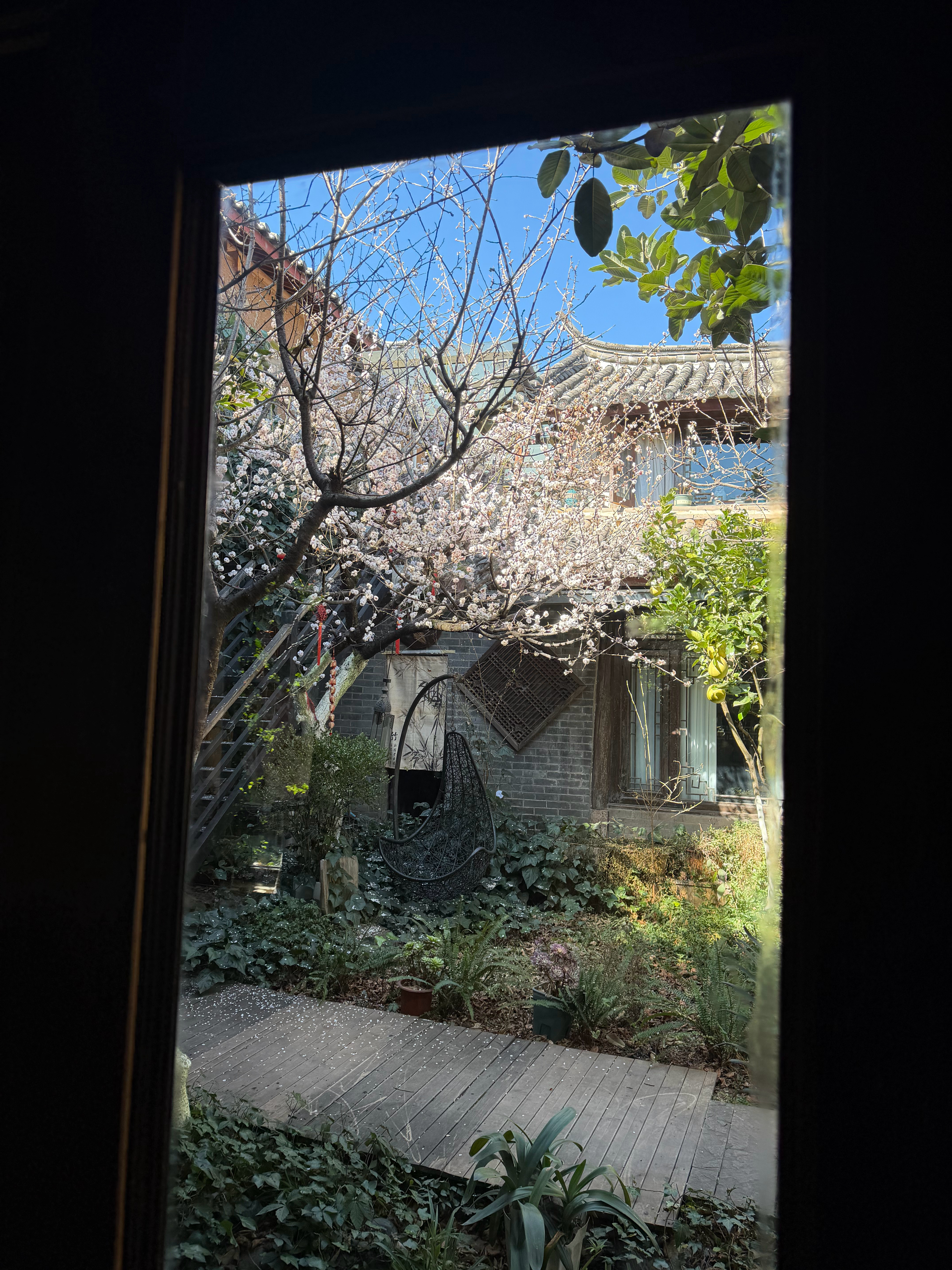 有鲜花的时候就是节；像花儿一样的心境的时候，就是节；有爱的时候就是节……天天都是