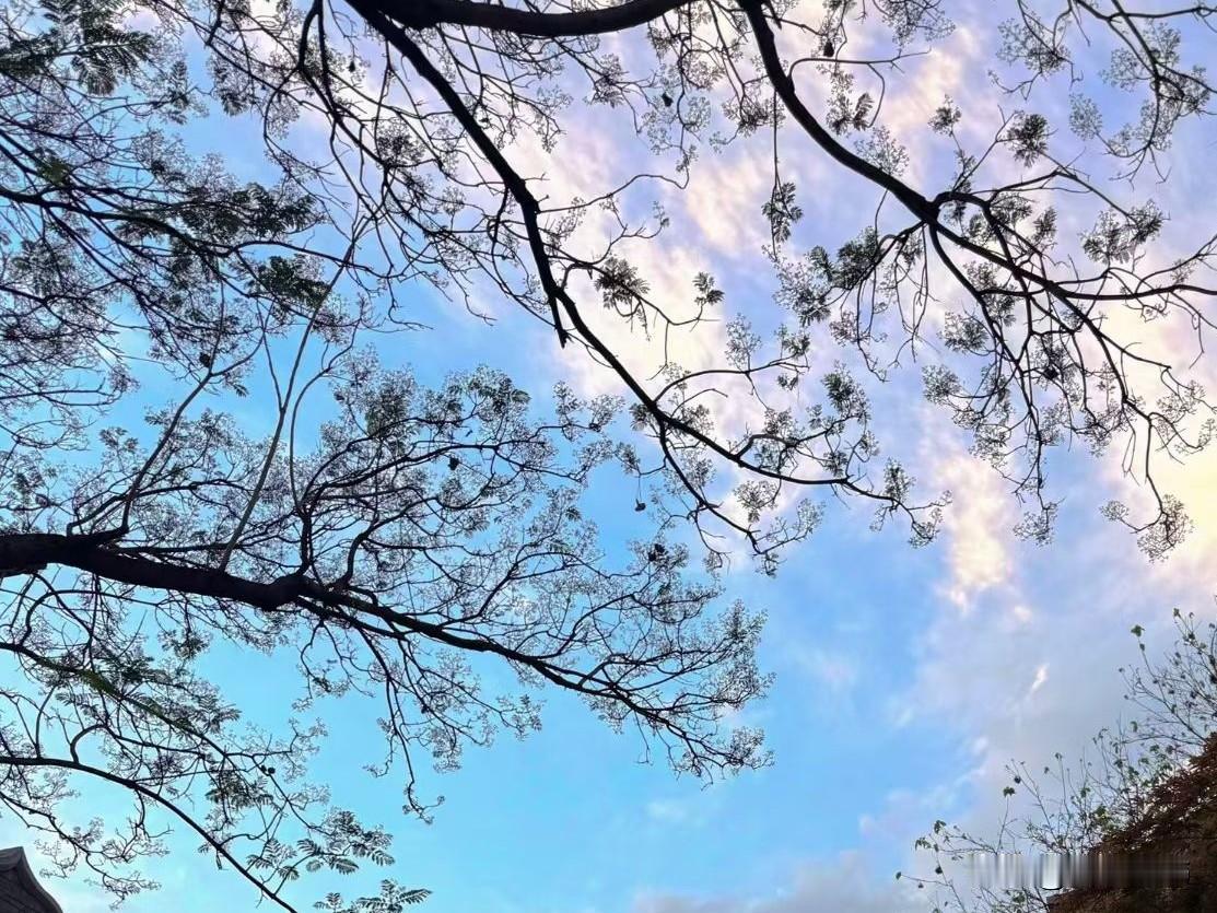 谢世杰医生，分享了一辈子不得糖尿病的秘诀，分享给大家：一，糖尿病与吃甜食没关系