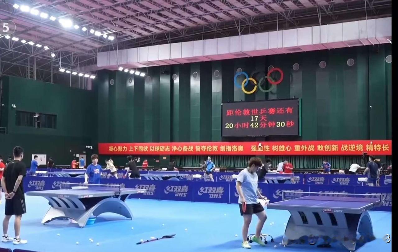 莎莎和楚钦成都训练馆的场景，训练场的标语很醒目，多了三个字“重外战”。4.