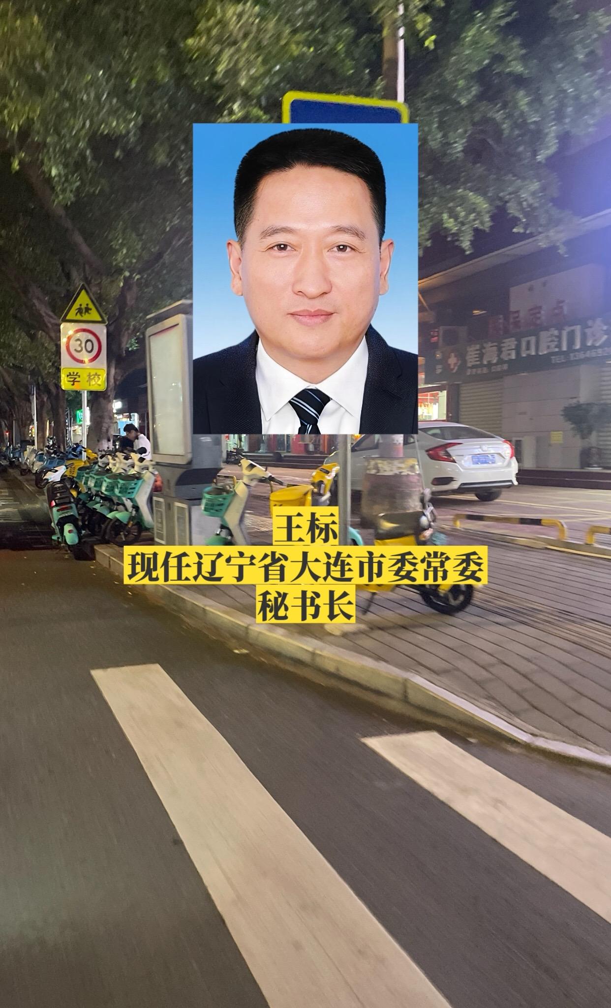 辽宁大连市委领导。