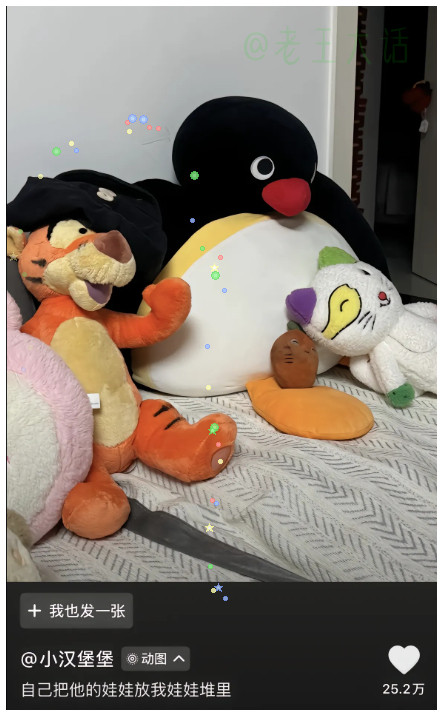 狗狗有自己的阿贝贝