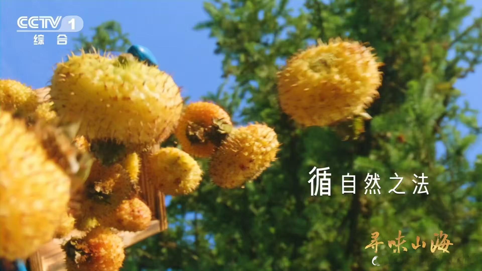 贵阳吃什么听劝版被朋友安利了贵阳美食，现在犯选择困难症！求帮选：早餐吃糯米饭还是