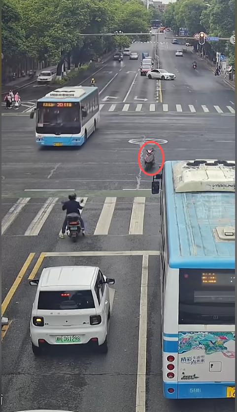 “国服孙策开大了？”近日，湖南益阳，在一处繁忙的十字路口，一辆白色轿车正在等红灯