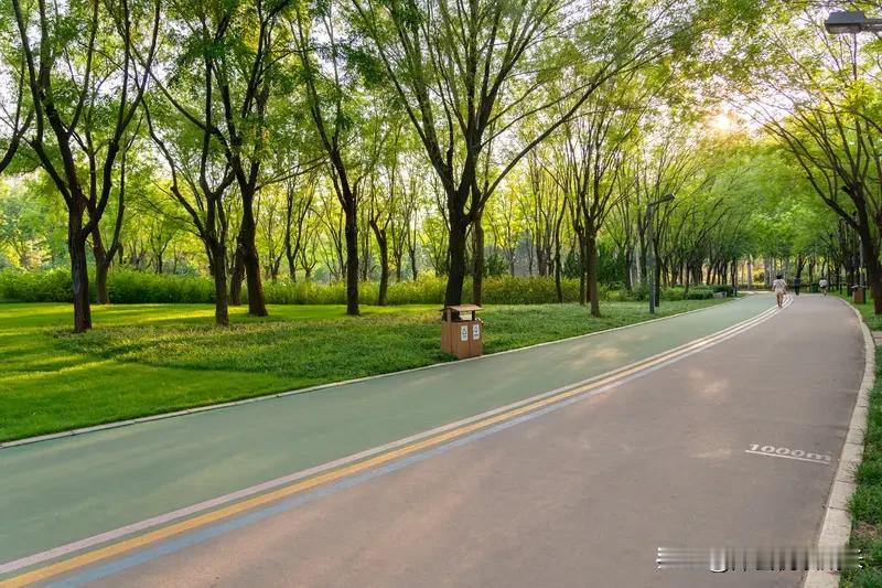 人过六十，最重要的是什么？答案早藏在你前半生的遗憾里年轻时总以为，攒够了钱