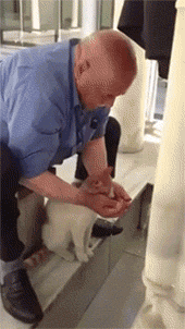 一只流浪猫想喝水，够不着！于是这位大叔就用手捧着水给猫咪喝，好暖