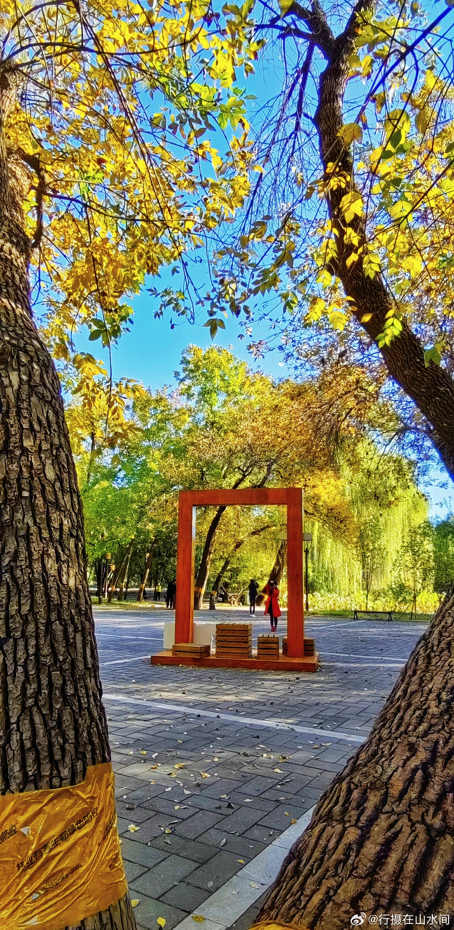 北京圆明园苹香榭秋色太美了！2025.10.19摄影​​​