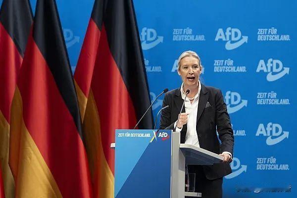 🚨欧洲政坛大变🔥德国选择党竞选纲领，核心主张有哪些🤔近些年德国选择党