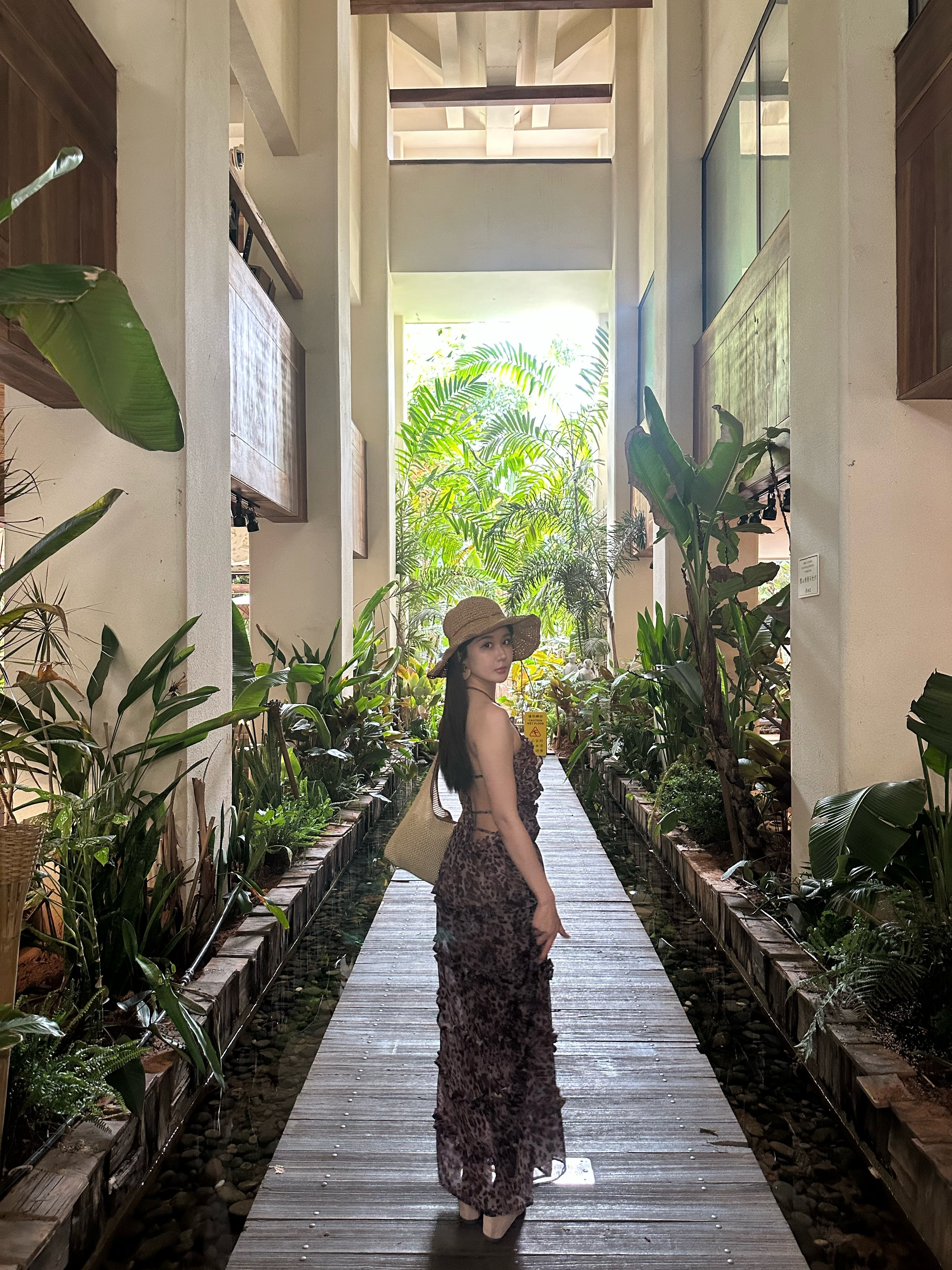 明媚的阳光的自由的🍃