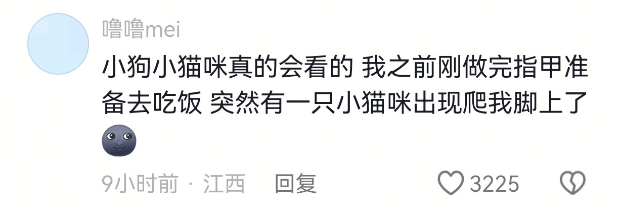 当你以为没人在意你夏天特意做的脚部美甲时：