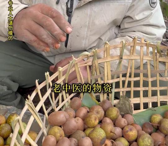 玩大发了，张家界荒野求生挑战赛，硬是把求生玩成了开荒，再这么下去，估计下一步就要