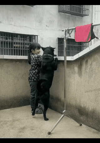 光影里的快乐最是暖人心❤️