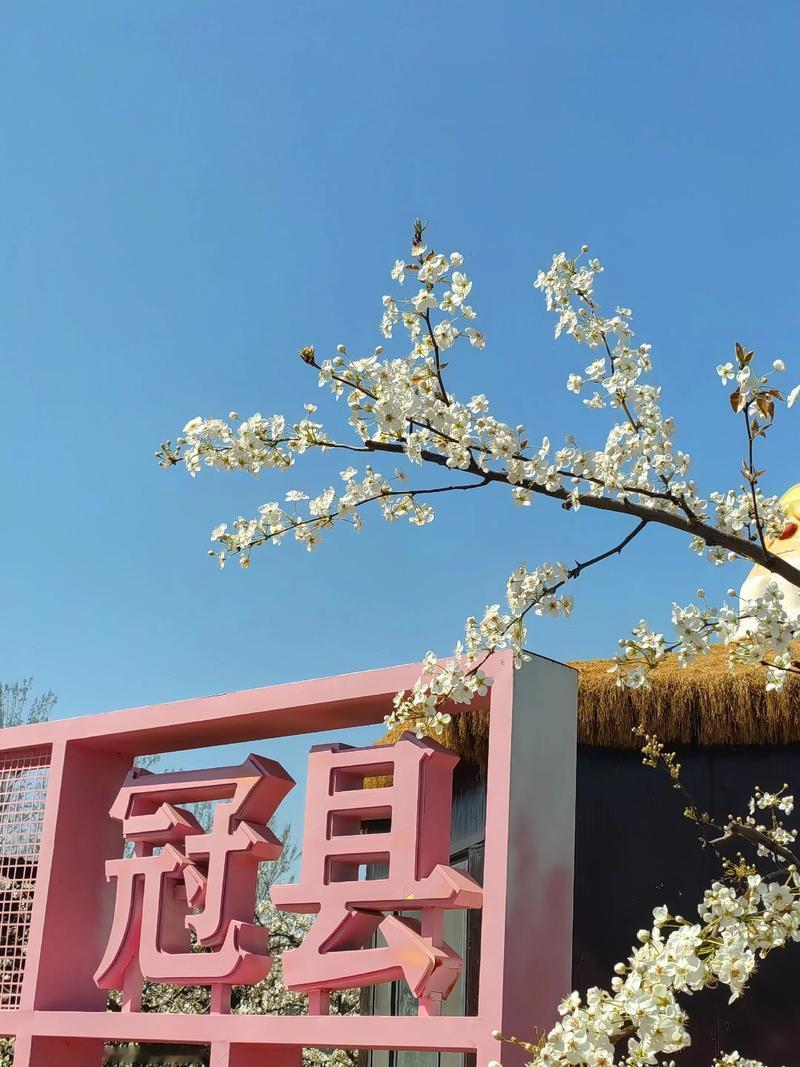 山东旅游，梨乡福地，冠县美景打卡攻略！山东冠县美景和美食推荐：1、中华第一