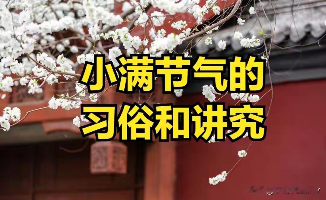 不是迷信！明日小满，牢记：1不看、2不留、3不早，别大意了明天是小满，麦粒