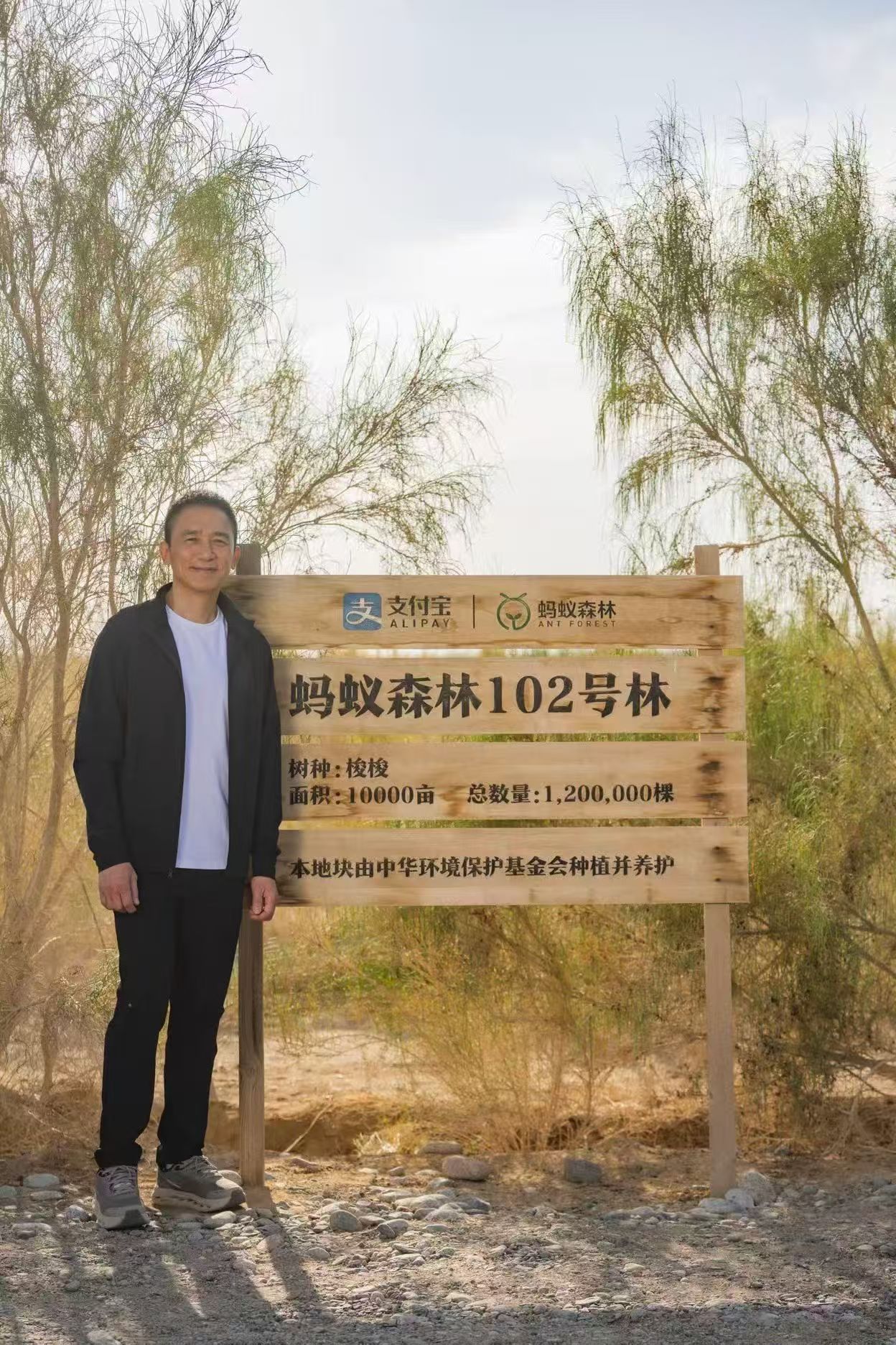 连梁朝伟都在蚂蚁森林种树。好久没见过梁朝伟公开露面了，怎么感觉老了的梁先生还是这
