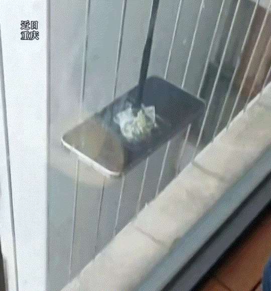 重庆一女子，手机不慎掉落在家中阳台外窗户防盗网上卡住了，女子将此事发到网上求助时