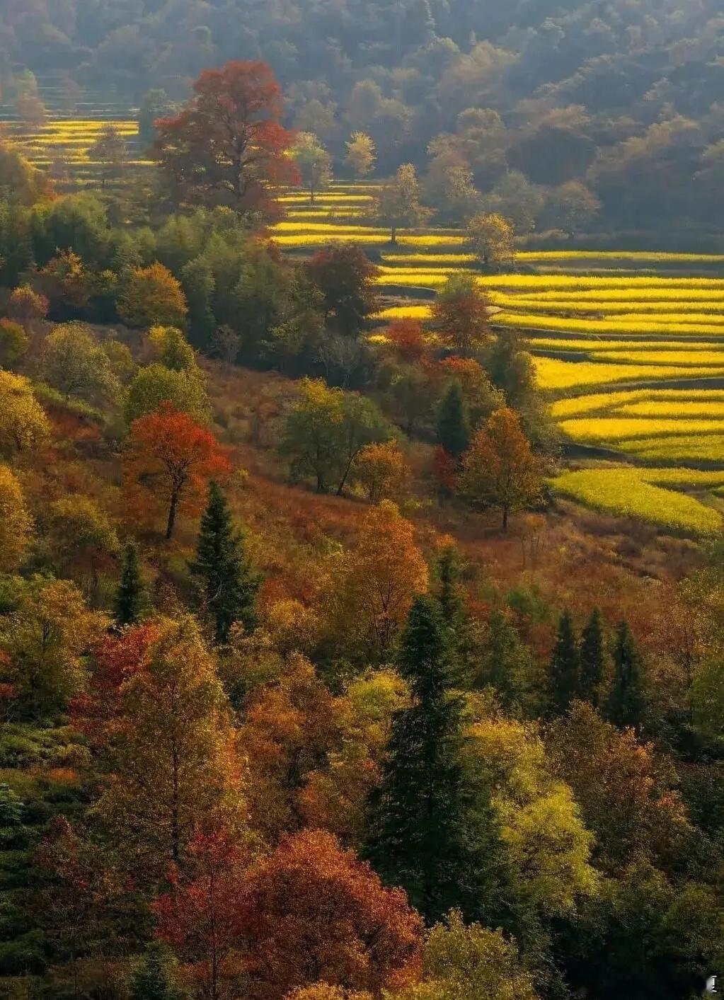 山河入画，满目秋光，揽尽人间山水浪漫～​​​