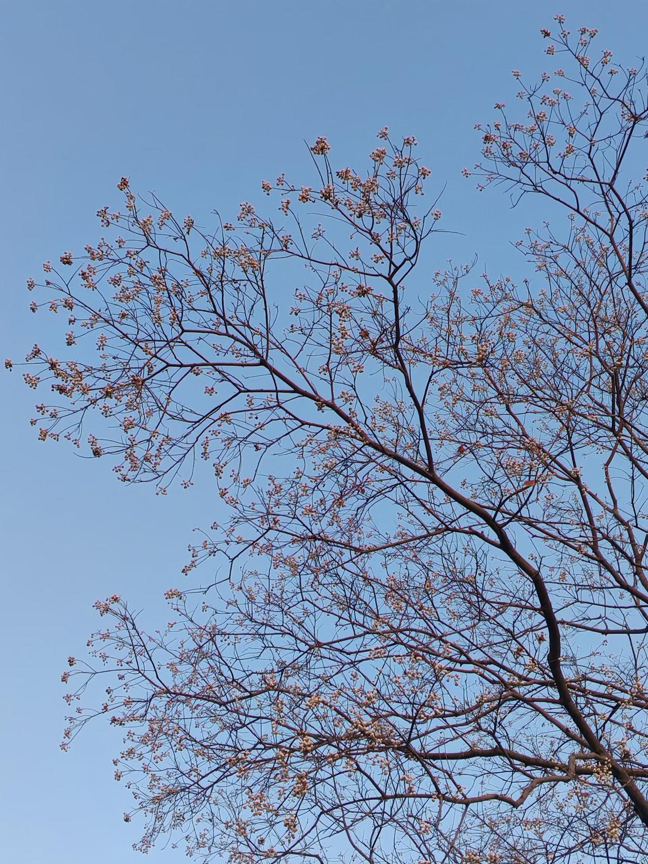 不是年味淡了，是我们长大了，小时候的年味是父母营造的，现在我们成为了大人，要给孩