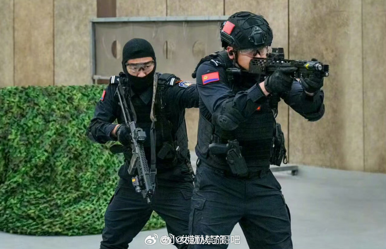 又是这款不认识的79冲皮轨套件，这次能从铭文印记看出型号叫ViperPDF，暂