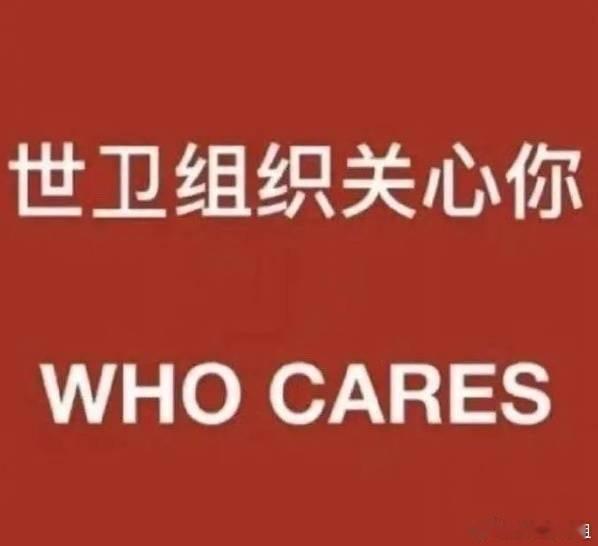 ❗今年地支有寅or申的宝宝们注意了——你们今年被三邢，比较起起落落有点drama