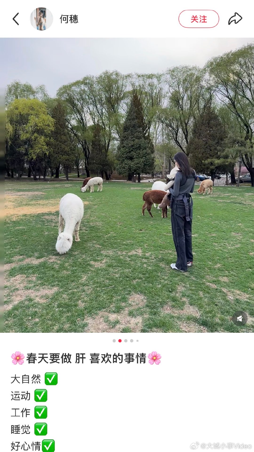 【何穗晒带娃照】何穗带娃看小动物4月1日，在社媒分享带宝宝出门的照片，好温馨！