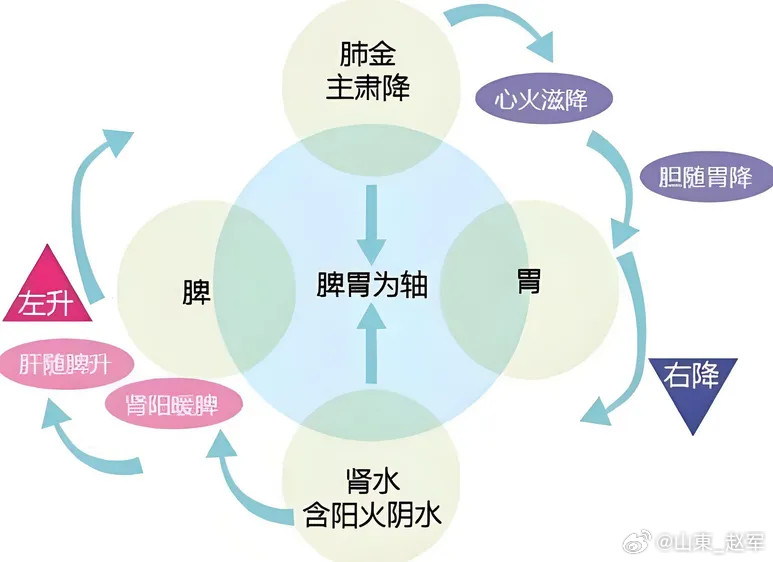 彭子益论麦门冬汤，气机升降，离不开阴阳水火的平衡！中医讲究气机升降，离不开阴阳水