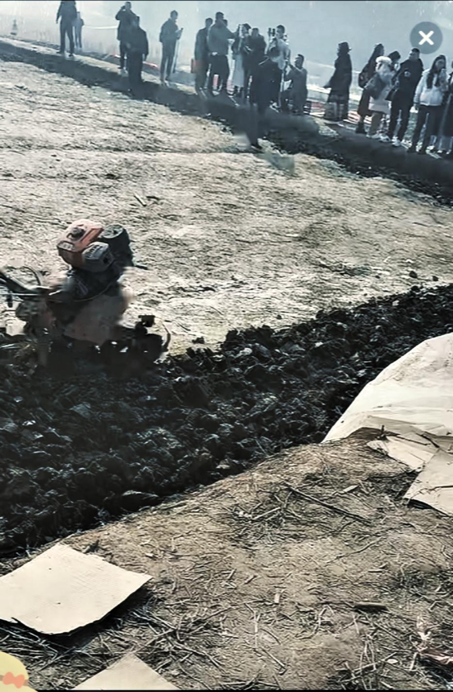 呆呆可能没料到，自家那块地最后会变成这样。她最初只是发愁父亲年纪大，按不住年