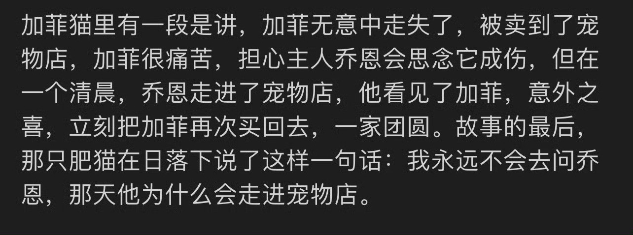但实际是乔恩找遍了收容所走投无路去宠物店找加菲猫，并不是想买一只新猫