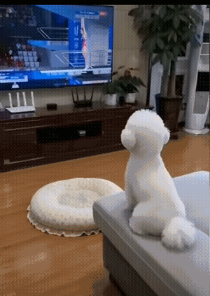 看了好几遍，才看出来了它到底翻了几个圈。还好下面有垫子，不然，真的摔成狗了。