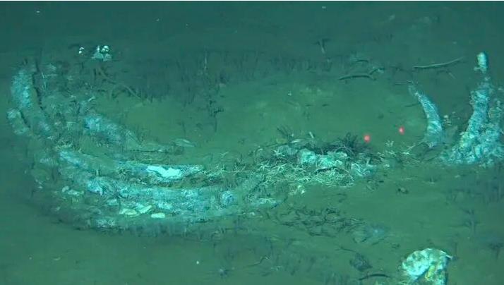 中国潜水器在印度洋7000米深的海底，沿一条1200公里长的裂谷，找到了450多