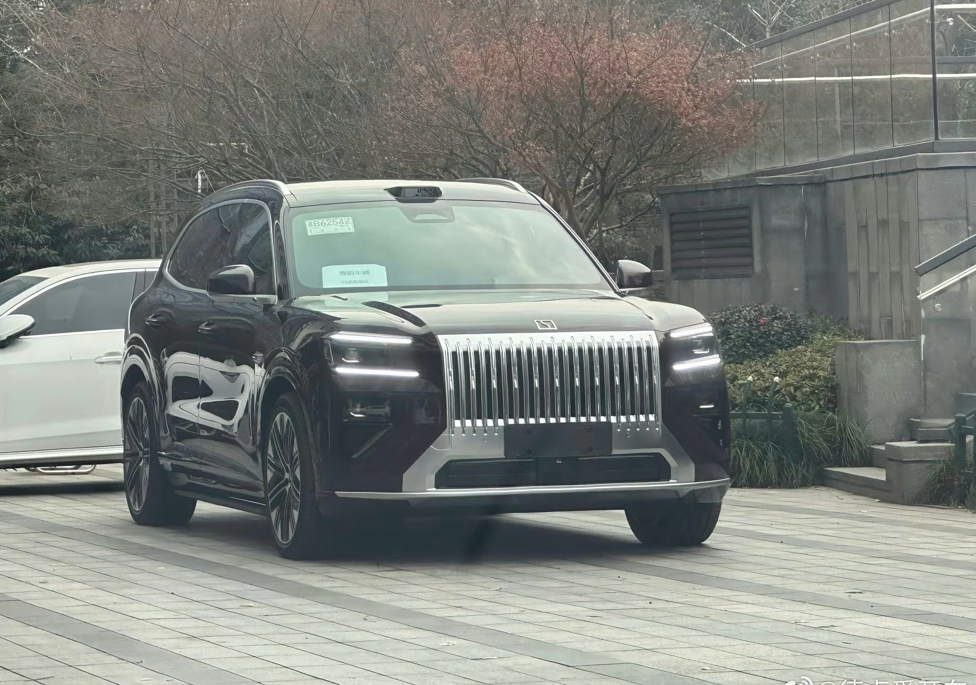 最近在街上看到没贴伪装的极氪8X了感觉有点偏紫你们觉得咋样？极氪8X