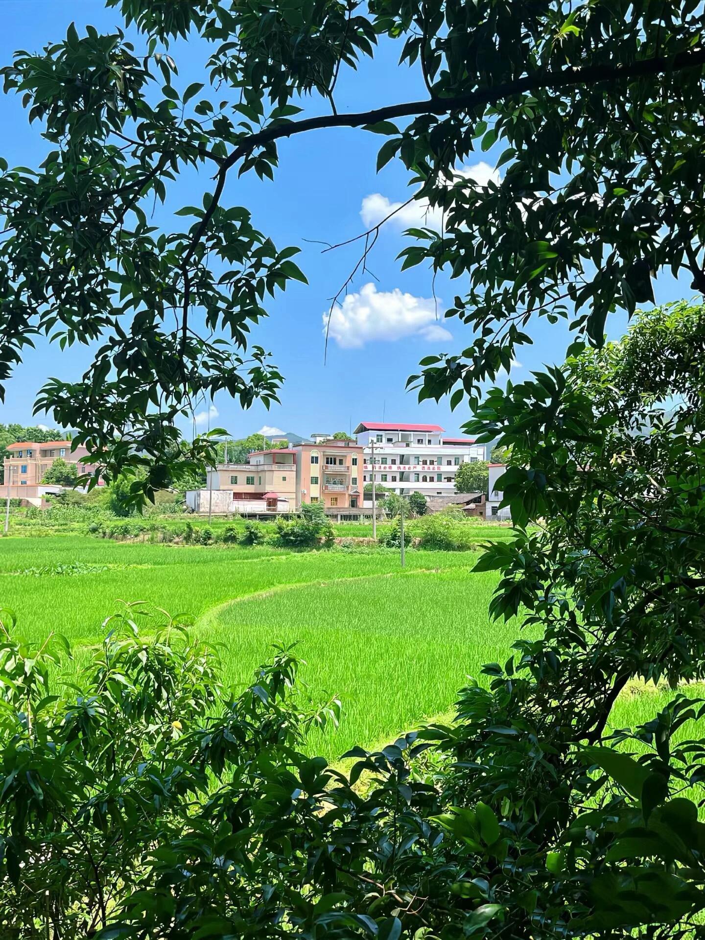 感觉小时候的夏天好像都不会热